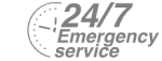 24/7 Emergency Service Pest Control in South Norwood, SE25. Call Now! 020 8166 9746